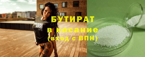 индика Слюдянка