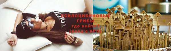 не бодяженный Богородск