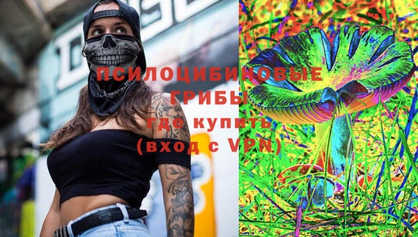 индика Слюдянка