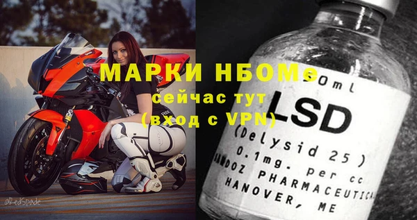 ешки Бородино