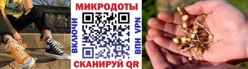 Псилоцибиновые грибы GOLDEN TEACHER  закладка  Маркс 