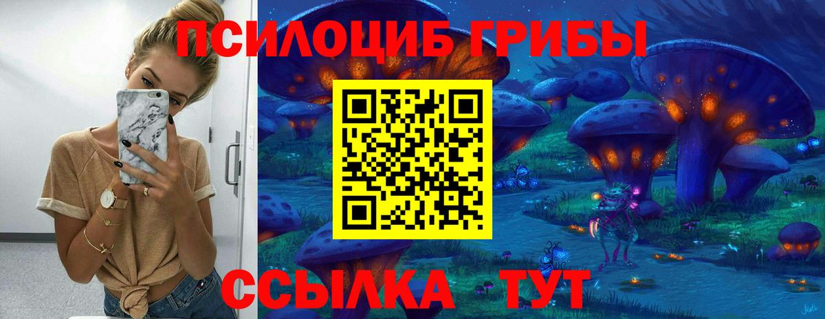 Псилоцибиновые грибы MAGIC MUSHROOMS  Вход с VPN  Маркс 